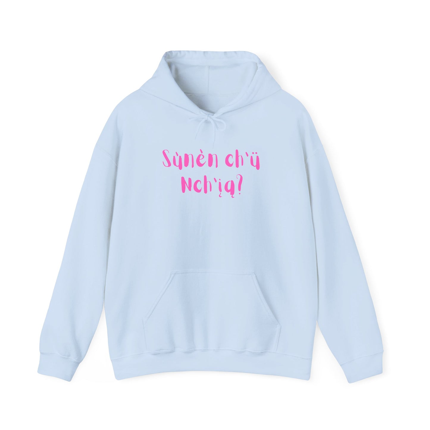 "Got Bannock?" Hoodie Pink Font