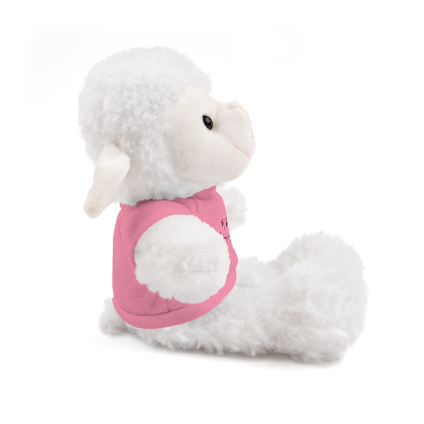 NPLS Stuffed Animal