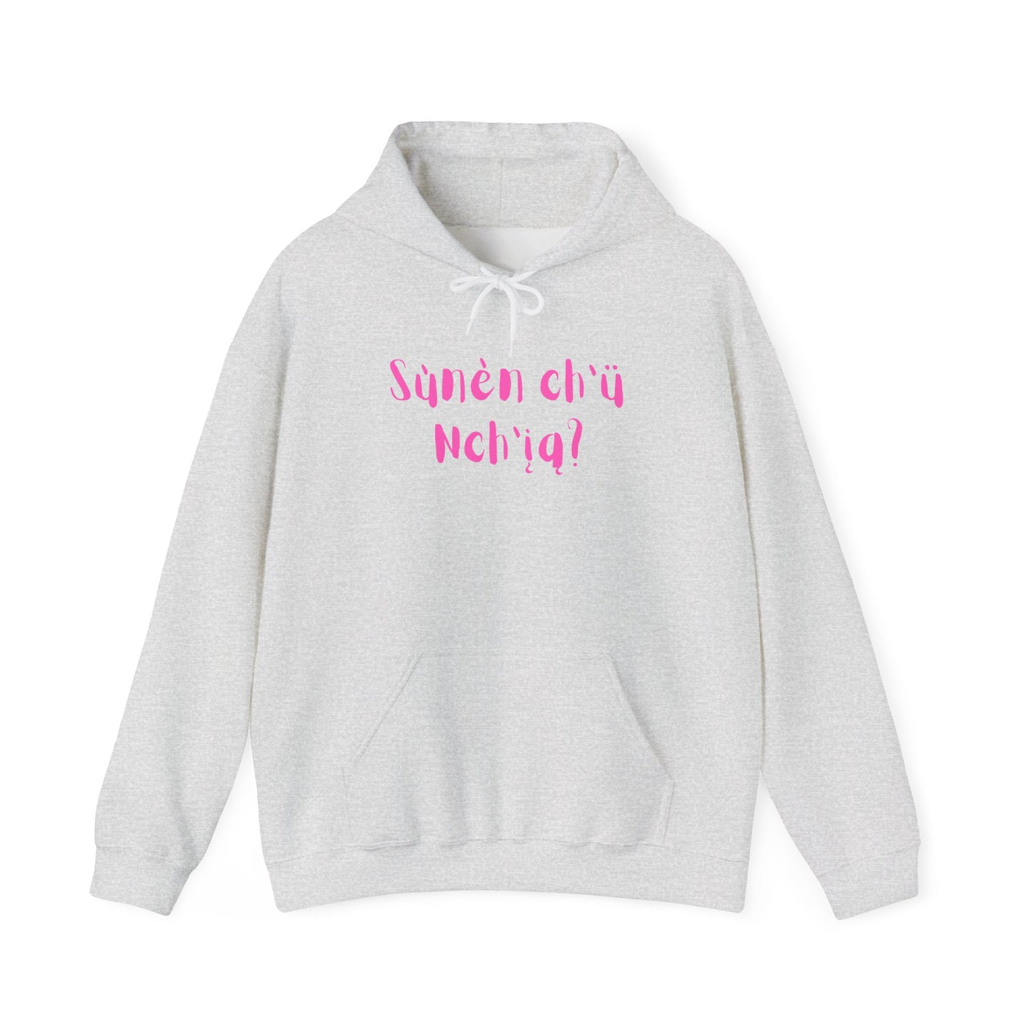 "Got Bannock?" Hoodie Pink Font