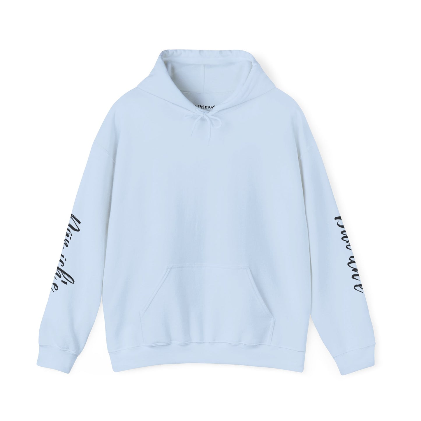 "I am Dän" (Southern Tutchone) Hoodie