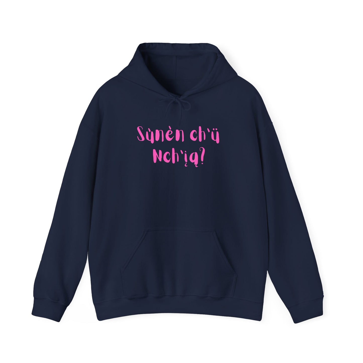 "Got Bannock?" Hoodie Pink Font