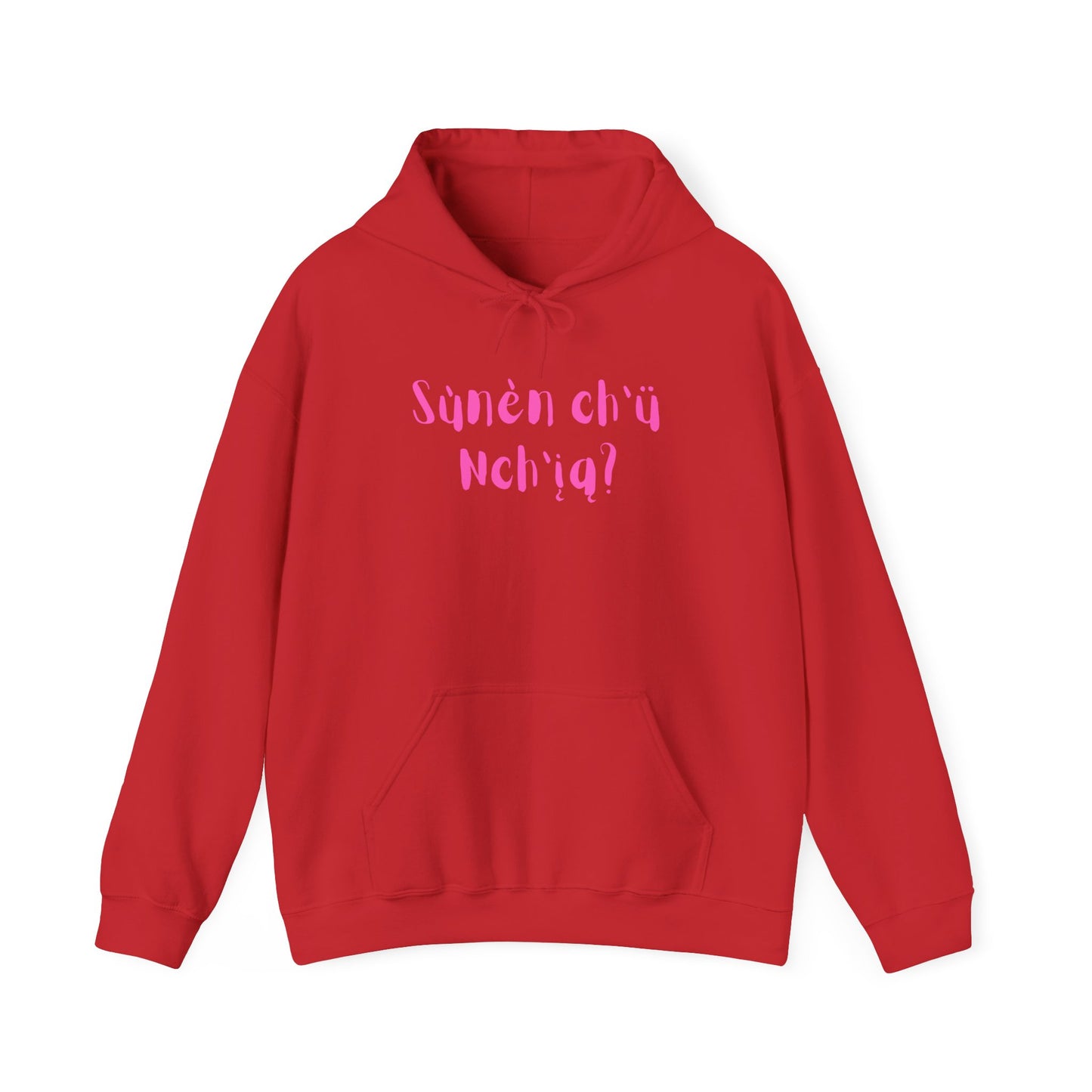 "Got Bannock?" Hoodie Pink Font