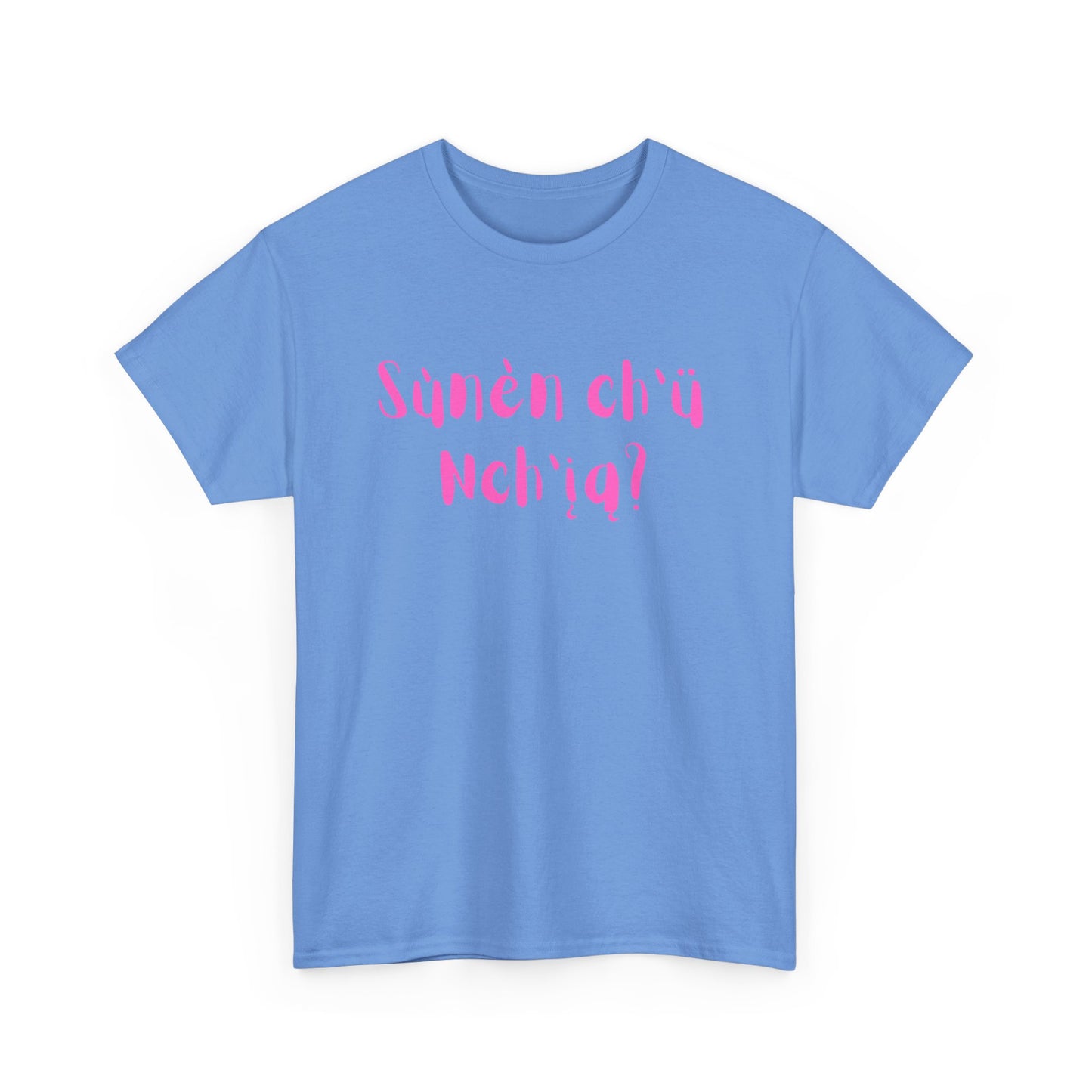 "Got Bannock?" Tee Pink Font