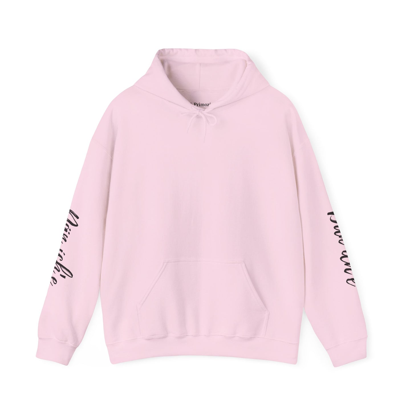 "I am Dän" (Southern Tutchone) Hoodie
