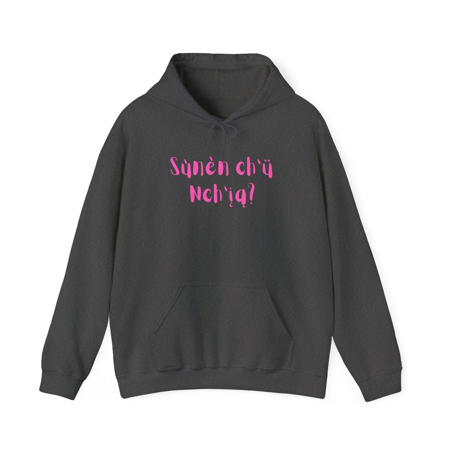 "Got Bannock?" Hoodie Pink Font