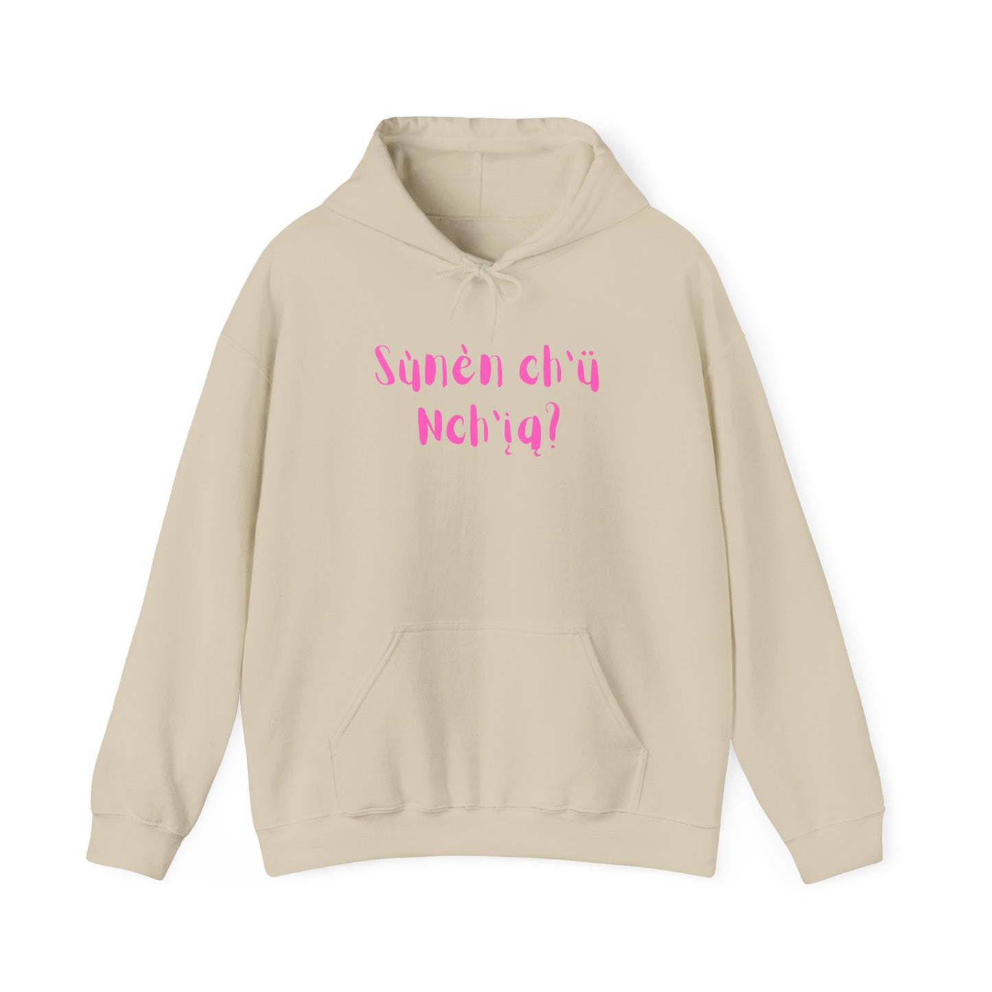 "Got Bannock?" Hoodie Pink Font