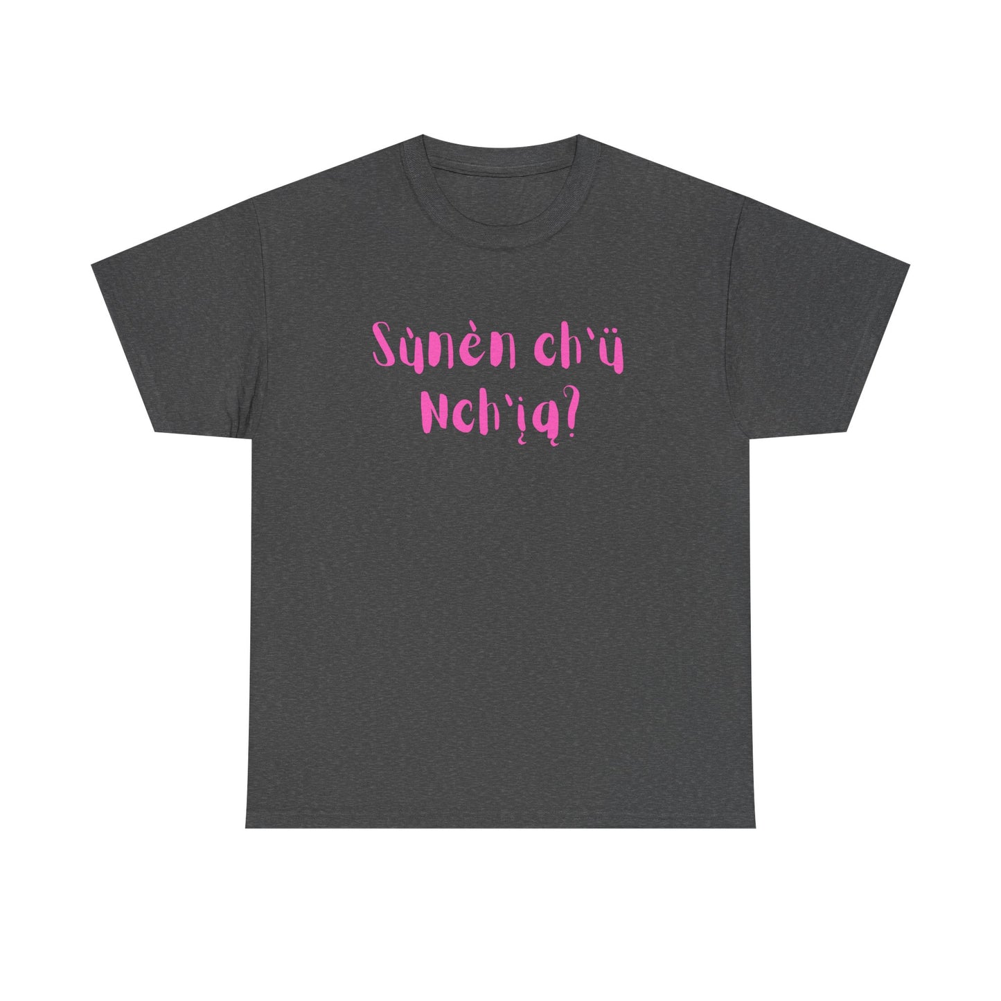 "Got Bannock?" Tee Pink Font
