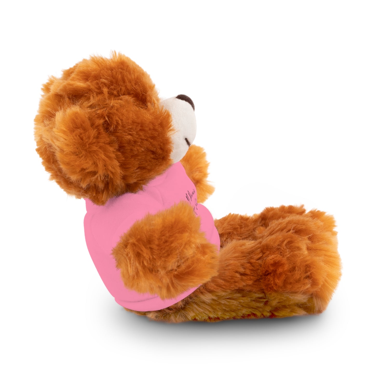 NPLS Stuffed Animal