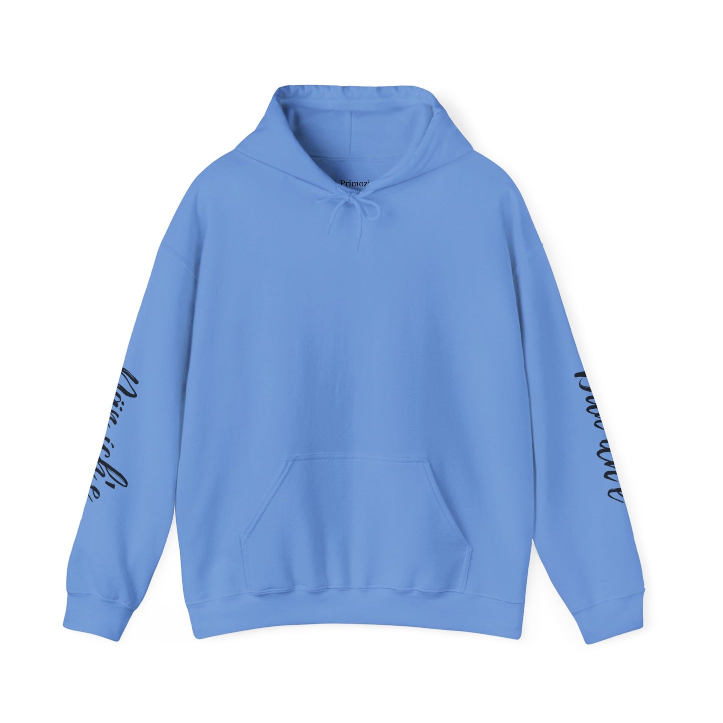 "I am Dän" (Southern Tutchone) Hoodie