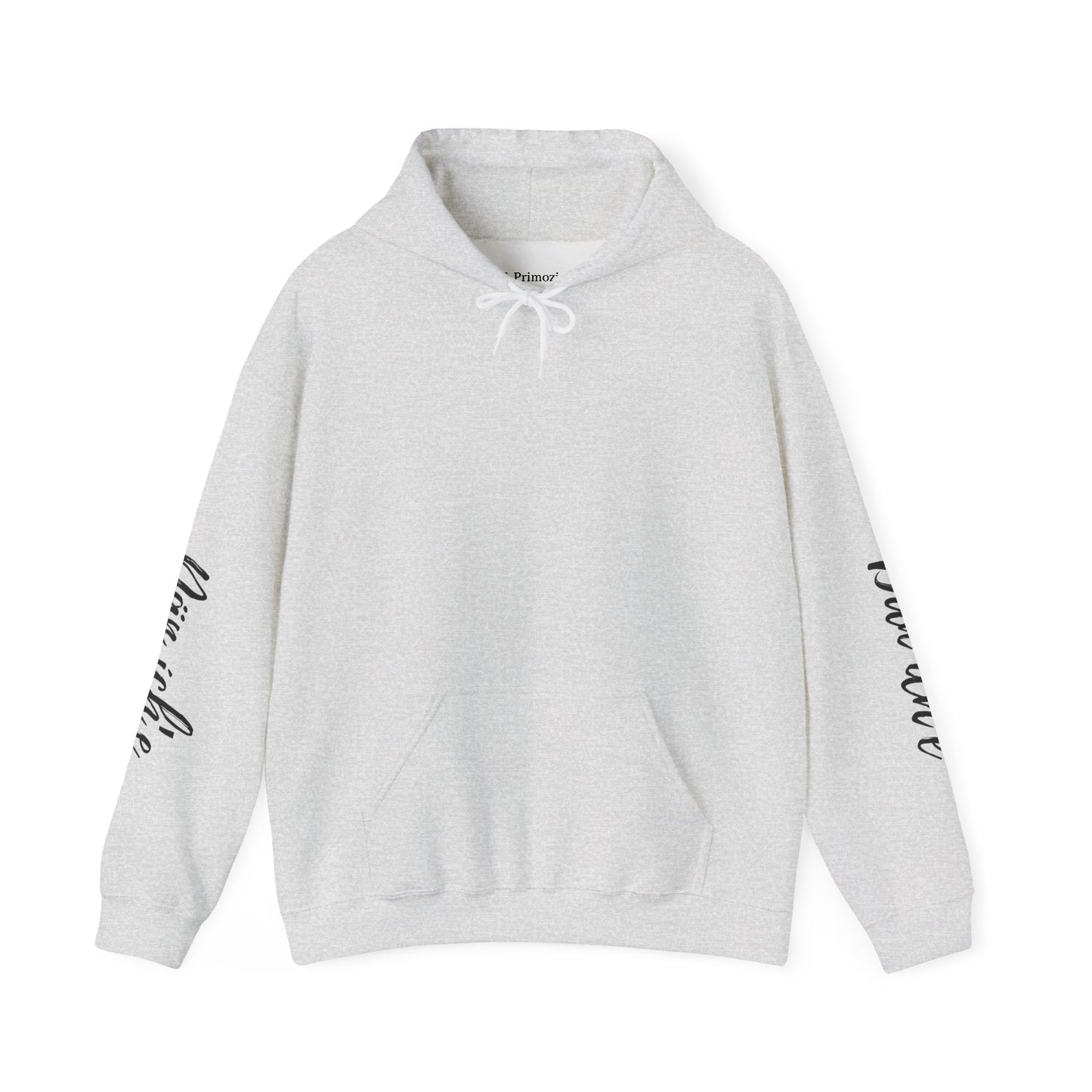 "I am Dän" (Southern Tutchone) Hoodie