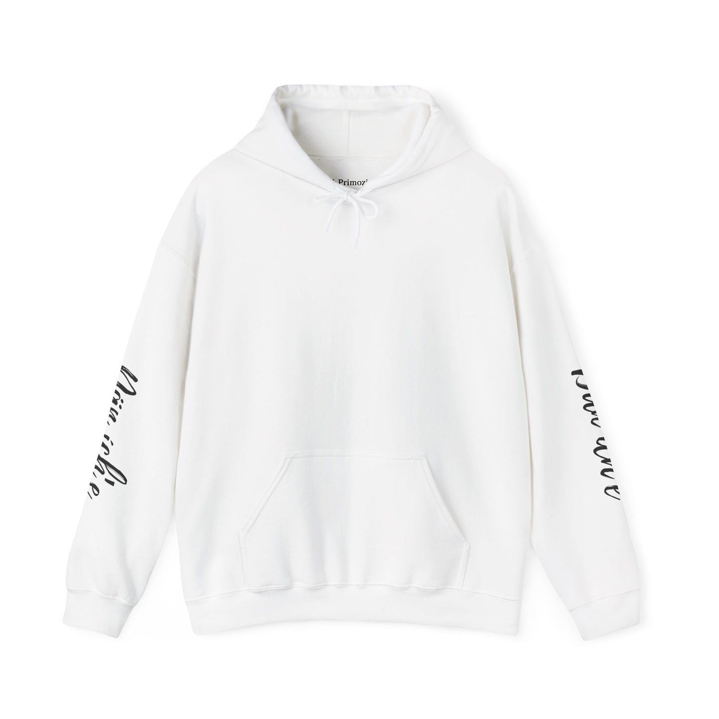 "I am Dän" (Southern Tutchone) Hoodie