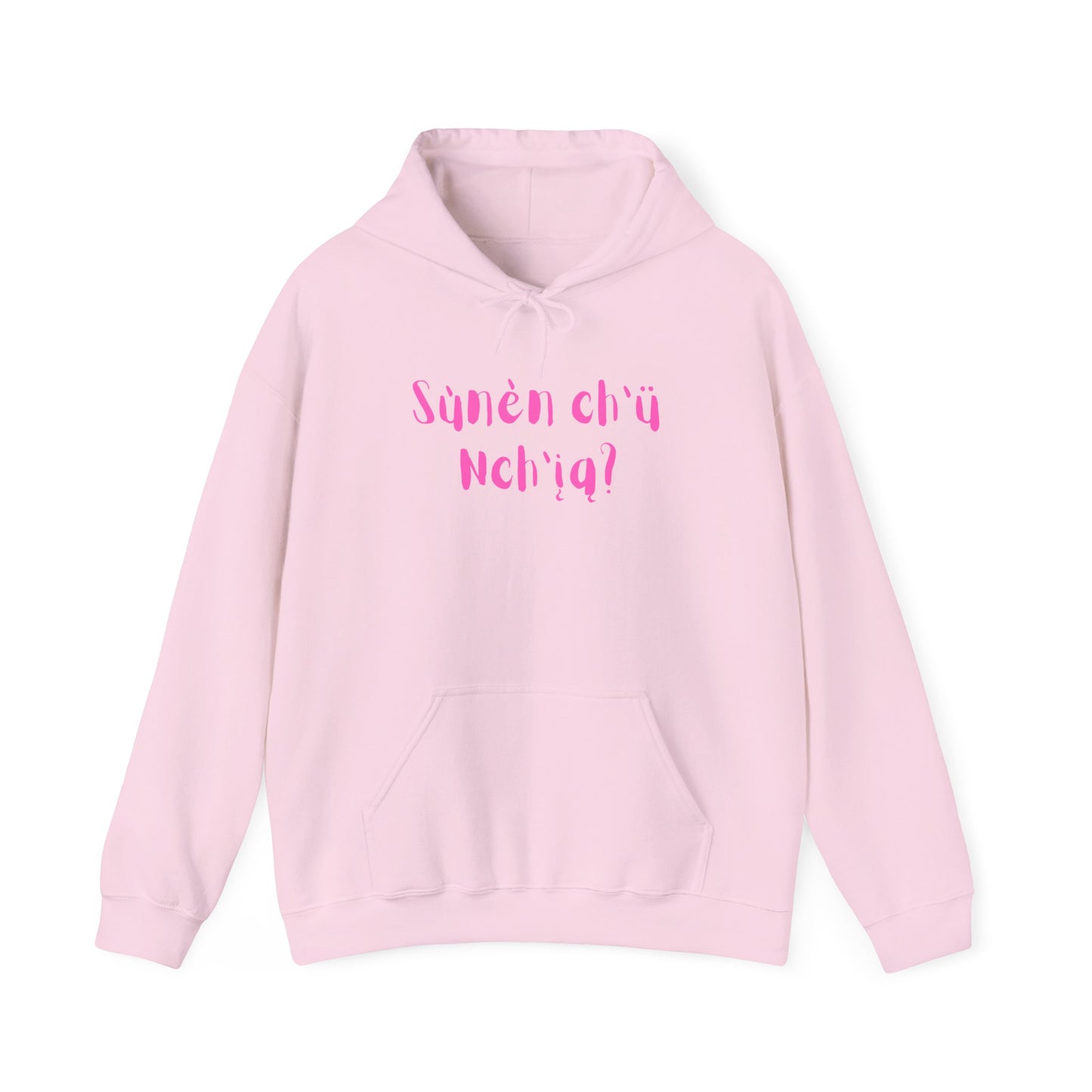 "Got Bannock?" Hoodie Pink Font