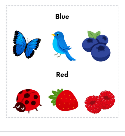 Colour Sorting Jars Flashcards