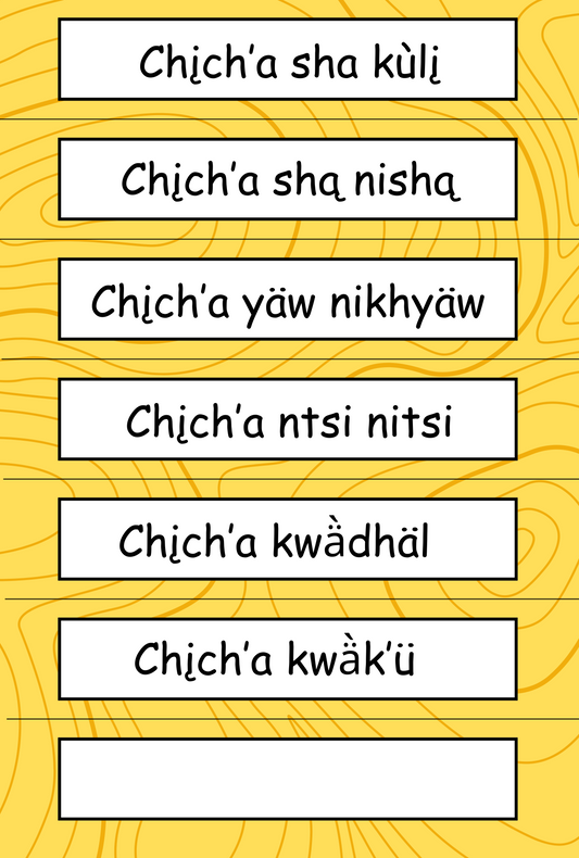 Chįch’a Dä̀kwä̀ch’e? Digital Poster Bundle Dän K’e 27x40